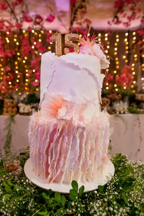 15 Anos - Mariah Favarato, foto 15